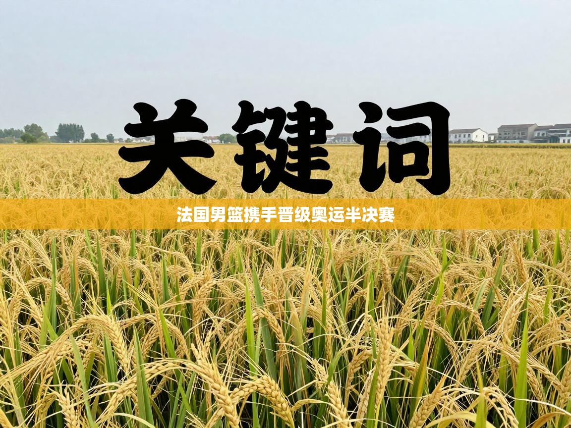 法国男篮携手晋级奥运半决赛 第2张