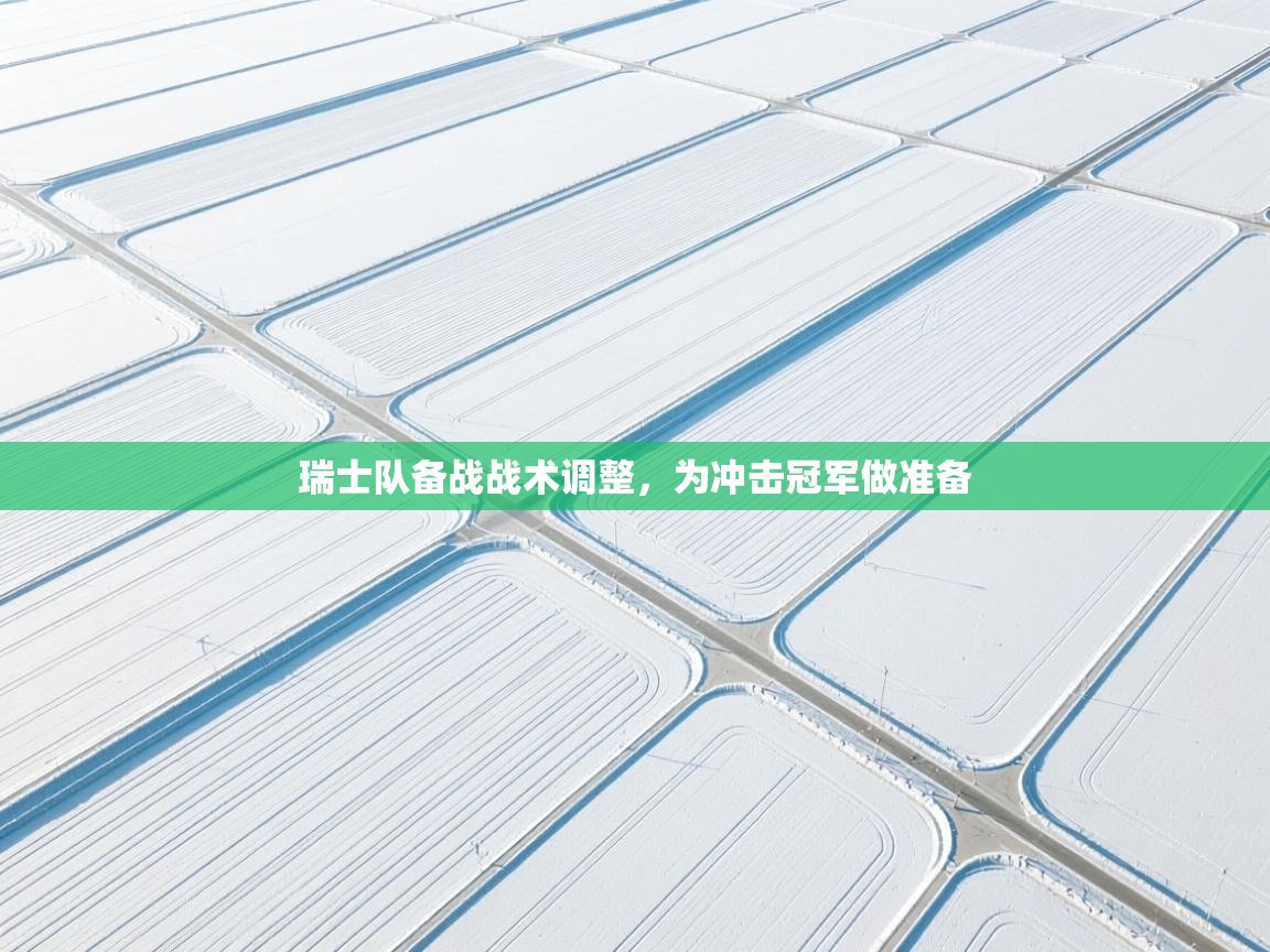 瑞士队备战战术调整,为冲击冠军做准备 第1张