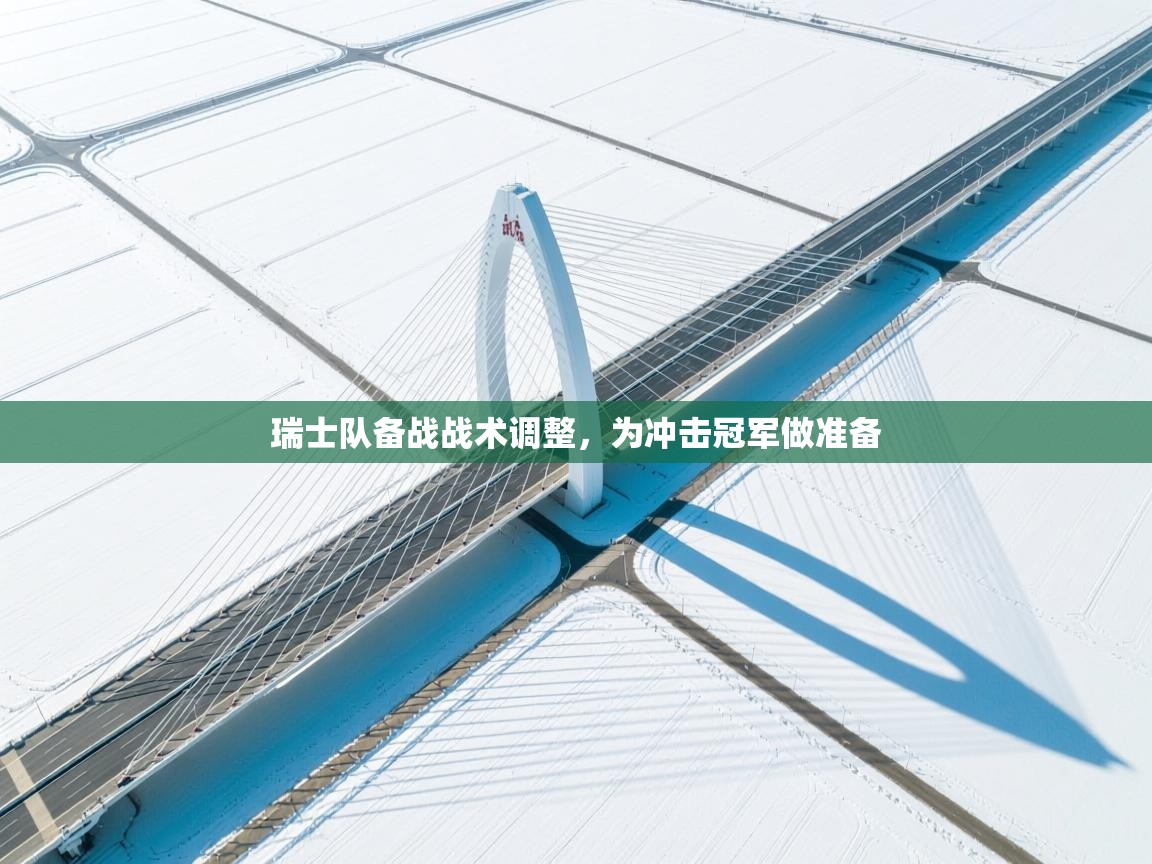 瑞士队备战战术调整,为冲击冠军做准备 第2张